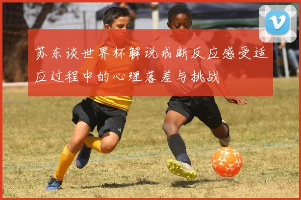 苏东谈世界杯解说戒断反应感受适应过程中的心理落差与挑战