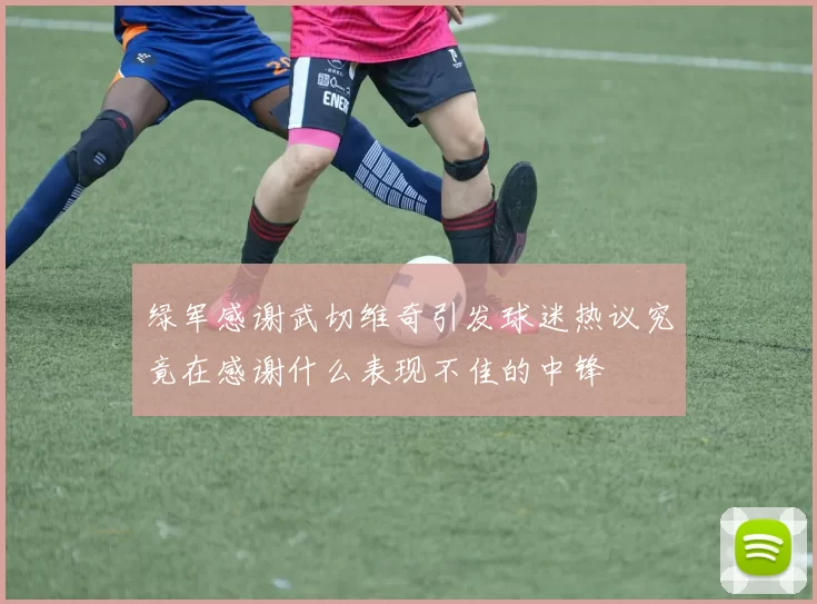 绿军感谢武切维奇引发球迷热议究竟在感谢什么表现不佳的中锋